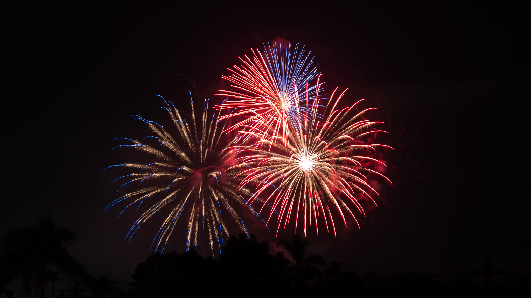Muse has generated fireworks
